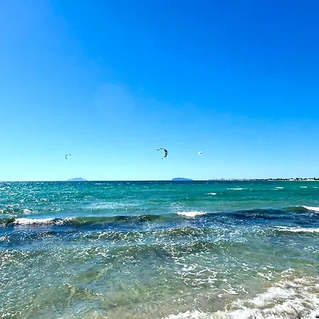 Posidonia *
